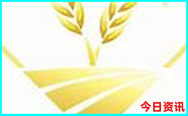 兰州夏季旅游攻略