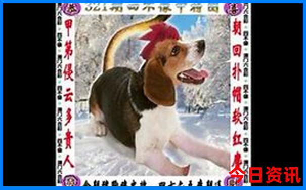 出国旅游哪个国家好玩又便宜