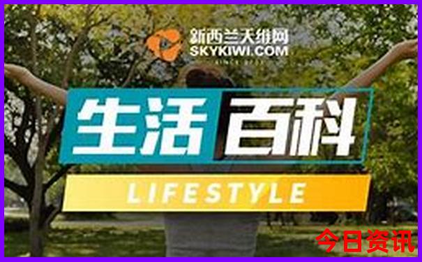 黄河老牛湾景区游玩攻略
